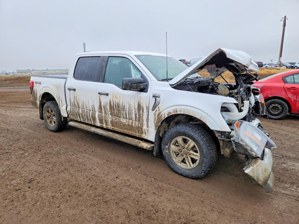 Aukcja sprzedaży 2023 Ford F150 Crew, vin: 1FTEW1EB6PKD76981, numer aukcji: 46995546