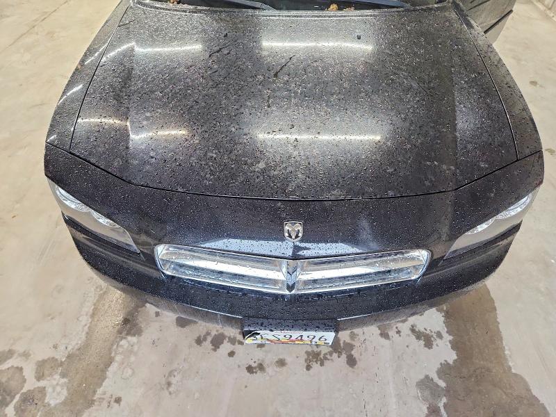 2006 Dodge Charger მანქანა იყიდება აუქციონზე, vin: 2B3KA53H96H223003, აუქციონის ნომერი: 47926856
