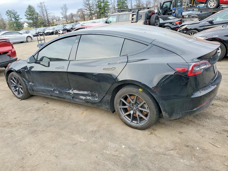 41975536 :رقم المزاد ، 5YJ3E1EB3MF858732 vin ، 2021 Tesla Model 3 مزاد بيع
