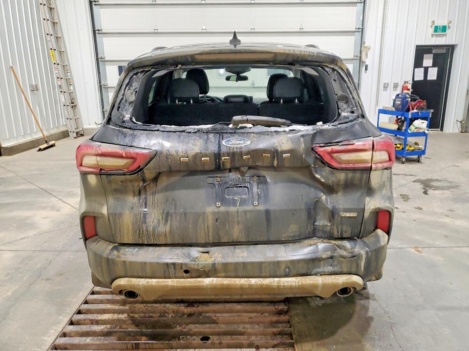 Продаж на аукціоні авто 2024 Ford Escape, vin: 1FMCU0E18RUA49225, номер лоту: 79595235