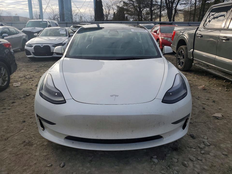 2023 Tesla Model 3 მანქანა იყიდება აუქციონზე, vin: 5YJ3E1EA1PF555184, აუქციონის ნომერი: 46669266