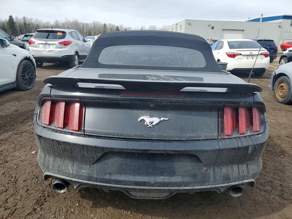 46287416 :رقم المزاد ، 1FATP8UH1H5204141 vin ، 2017 Ford Mustang مزاد بيع