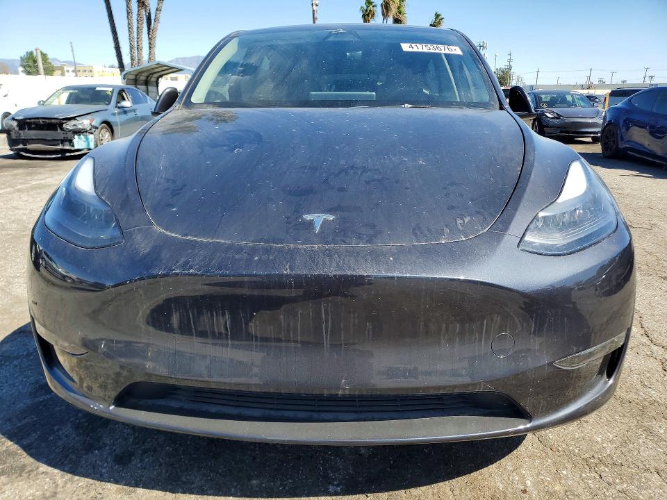 Продаж на аукціоні авто 2024 Tesla Model Y, vin: 7SAYGDEDXRF123355, номер лоту: 41753676