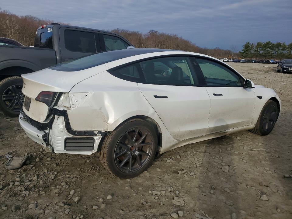 2023 Tesla Model 3 მანქანა იყიდება აუქციონზე, vin: 5YJ3E1EA1PF555184, აუქციონის ნომერი: 46669266
