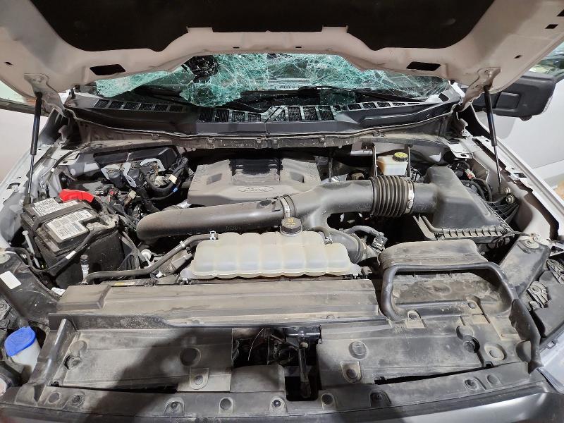 Продаж на аукціоні авто 2021 Ford F150, vin: 1FTFW1E81MFB82937, номер лоту: 45692756