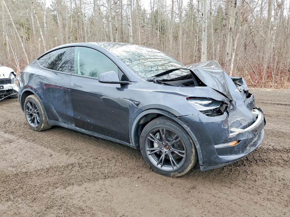 Продаж на аукціоні авто 2024 Tesla Model Y, vin: 7SAYGDEE3RF203640, номер лоту: 46069456