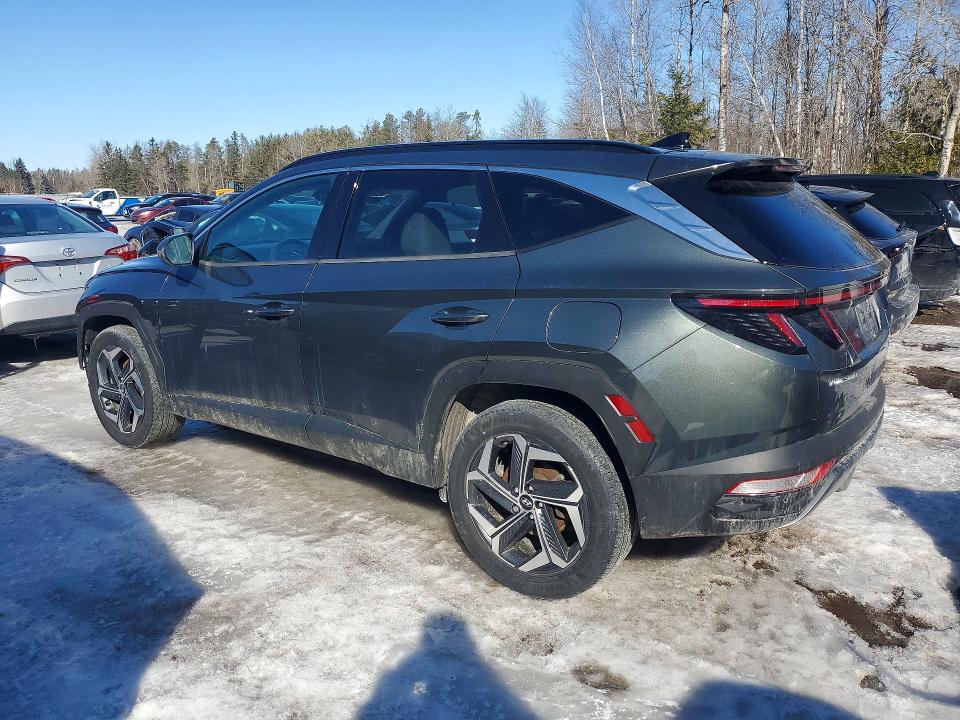 Продажа на аукционе авто 2022 Hyundai Tucson, vin: KM8JCCA19NU029027, номер лота: 78771415
