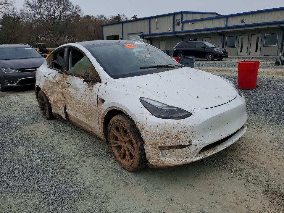 Продаж на аукціоні авто 2024 Tesla Model Y, vin: 7SAYGAEE8RF191631, номер лоту: 79474815