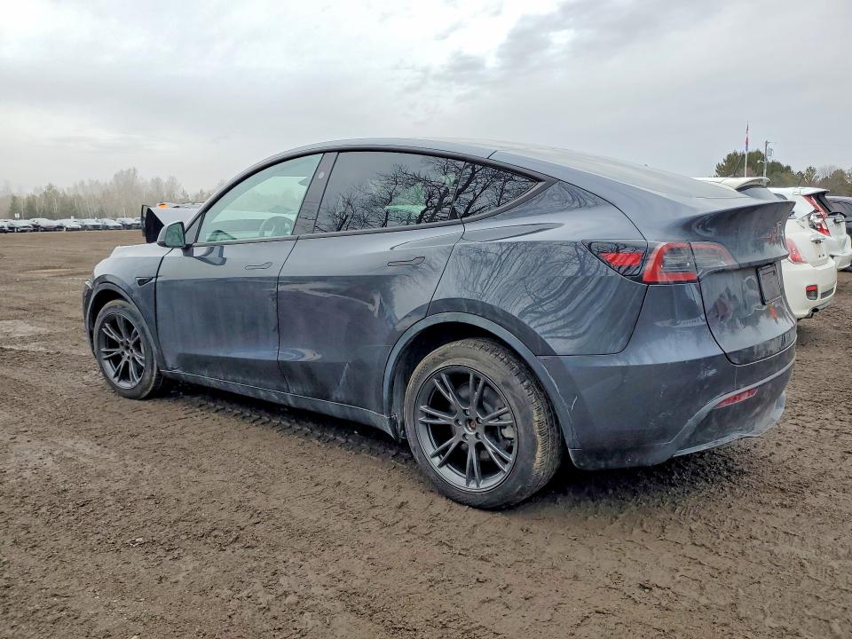 Продаж на аукціоні авто 2024 Tesla Model Y, vin: 7SAYGDEE3RF203640, номер лоту: 46069456
