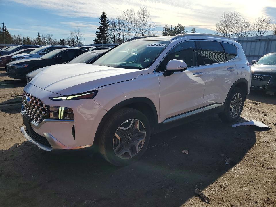 Aukcja sprzedaży 2023 Hyundai Santa Fe, vin: KM8S5DA14PU081334, numer aukcji: 77506375