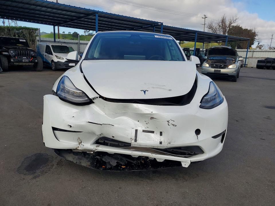 Aukcja sprzedaży 2020 Tesla Model Y, vin: 5YJYGDEF7LF003051, numer aukcji: 79646495