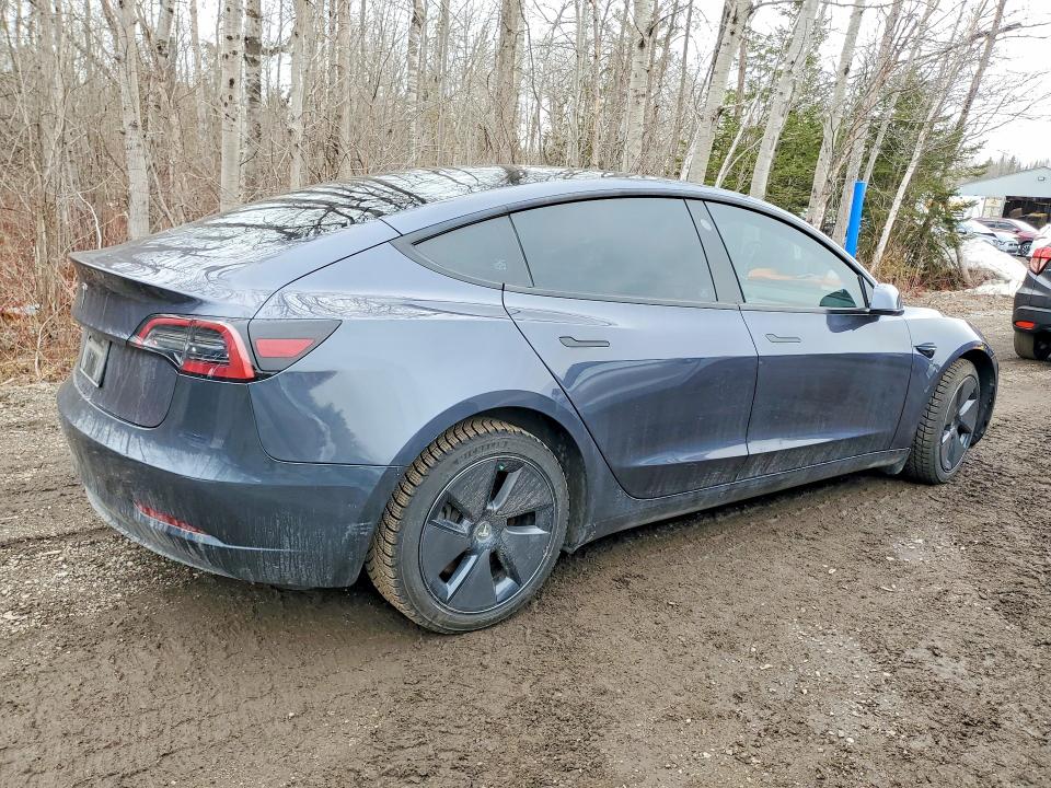 2023 Tesla Model 3 მანქანა იყიდება აუქციონზე, vin: LRW3E1FA8PC900185, აუქციონის ნომერი: 46711976