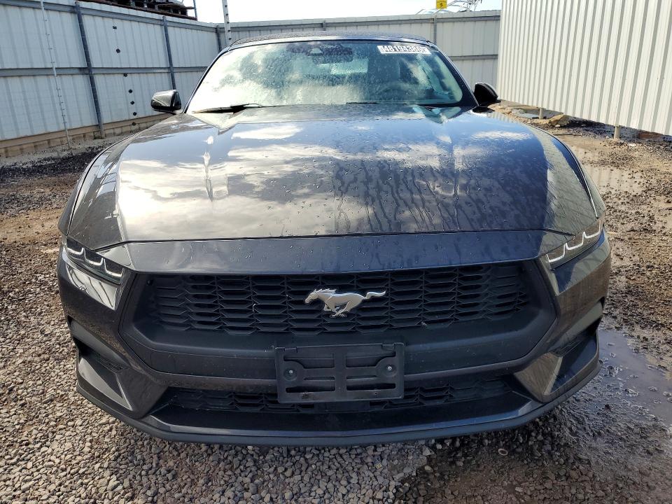 Продажа на аукционе авто 2024 Ford Mustang, vin: 1FAGP8UHXR5120340, номер лота: 48194386