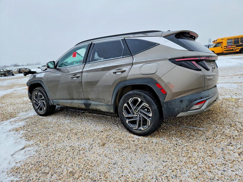 2025 Hyundai Tucson მანქანა იყიდება აუქციონზე, vin: KM8JDDD27SU257062, აუქციონის ნომერი: 79728025