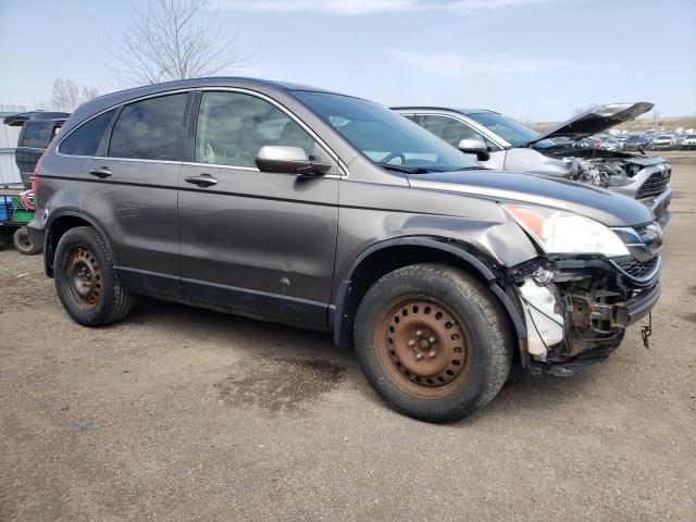Продаж на аукціоні авто 2010 Honda Cr-v Exl, vin: 5J6RE4H76AL809546, номер лоту: 49374803
