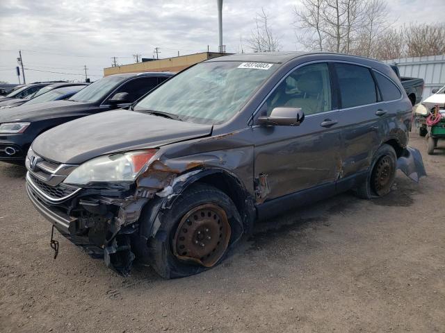 Продаж на аукціоні авто 2010 Honda Cr-v Exl, vin: 5J6RE4H76AL809546, номер лоту: 49374803