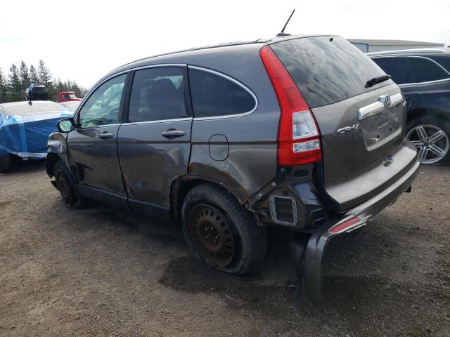 Продаж на аукціоні авто 2010 Honda Cr-v Exl, vin: 5J6RE4H76AL809546, номер лоту: 49374803