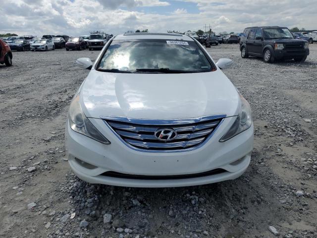 Продажа на аукционе авто 2013 Hyundai Sonata Se, vin: 5NPEC4AC9DH800429, номер лота: 50381204