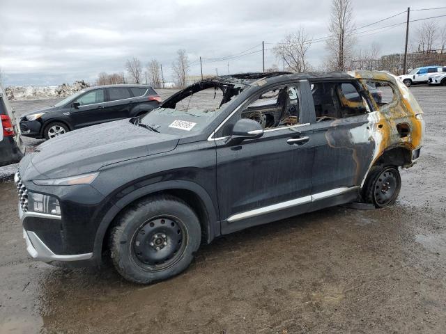 2023 Hyundai Santa Fe მანქანა იყიდება აუქციონზე, vin: KM8S5DA19PU081880, აუქციონის ნომერი: 51549195