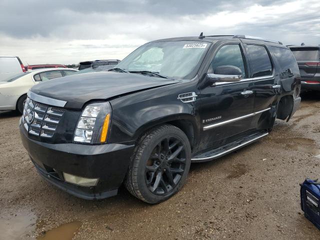 53025625 :رقم المزاد ، 1GYFK63847R149634 vin ، 2007 Cadillac Escalade L مزاد بيع
