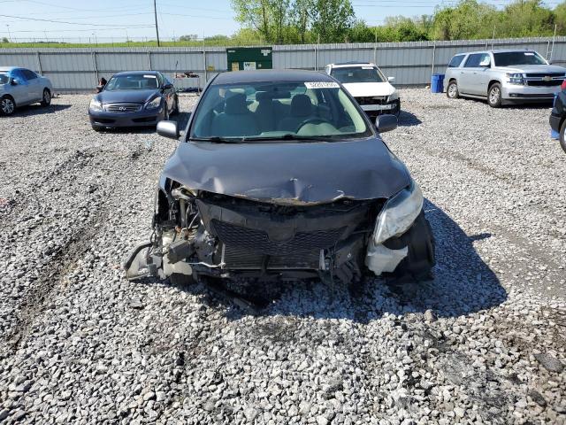 2009 Toyota Corolla Ba მანქანა იყიდება აუქციონზე, vin: 2T1BU40E89C156743, აუქციონის ნომერი: 81330565