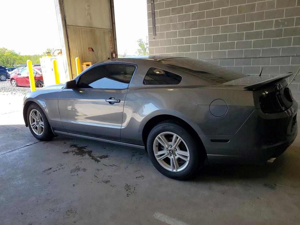 Продаж на аукціоні авто 2014 Ford Mustang, vin: 1ZVBP8AM9E5204081, номер лоту: 49575096