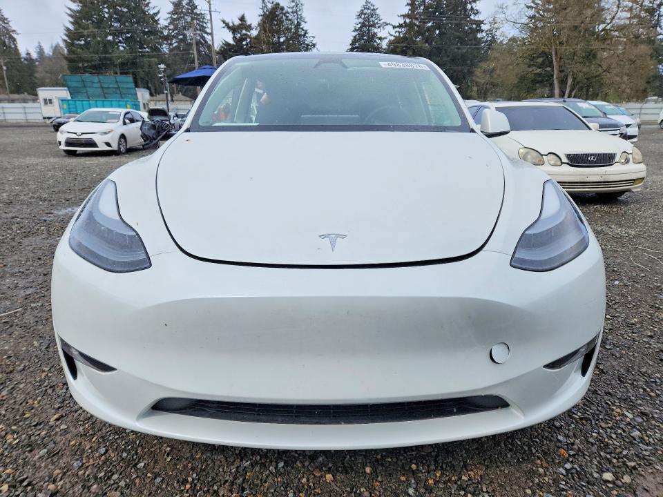 Продаж на аукціоні авто 2024 Tesla Model Y, vin: 7SAYGDEE4RF190459, номер лоту: 49838876