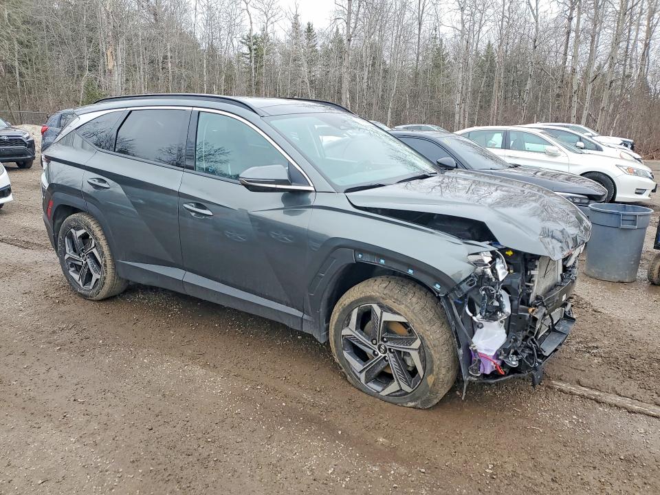 Продажа на аукционе авто 2023 Hyundai Tucson, vin: KM8JCCA15PU114319, номер лота: 48586576