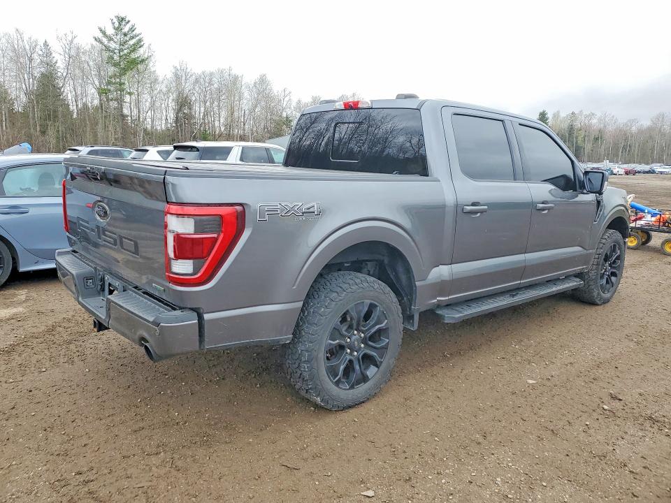 2022 Ford F150 მანქანა იყიდება აუქციონზე, vin: 1FTFW1E89NFB68365, აუქციონის ნომერი: 50834576