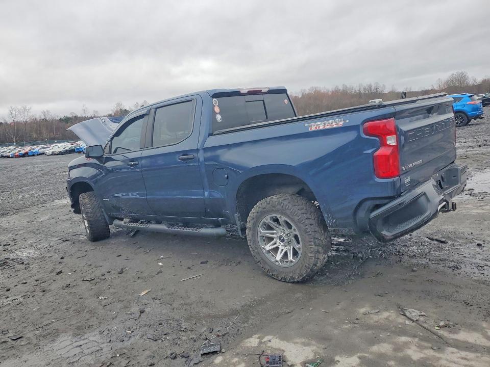 Aukcja sprzedaży 2020 Chevrolet Silverado, vin: 1GCPYFEL7LZ199738, numer aukcji: 48253626