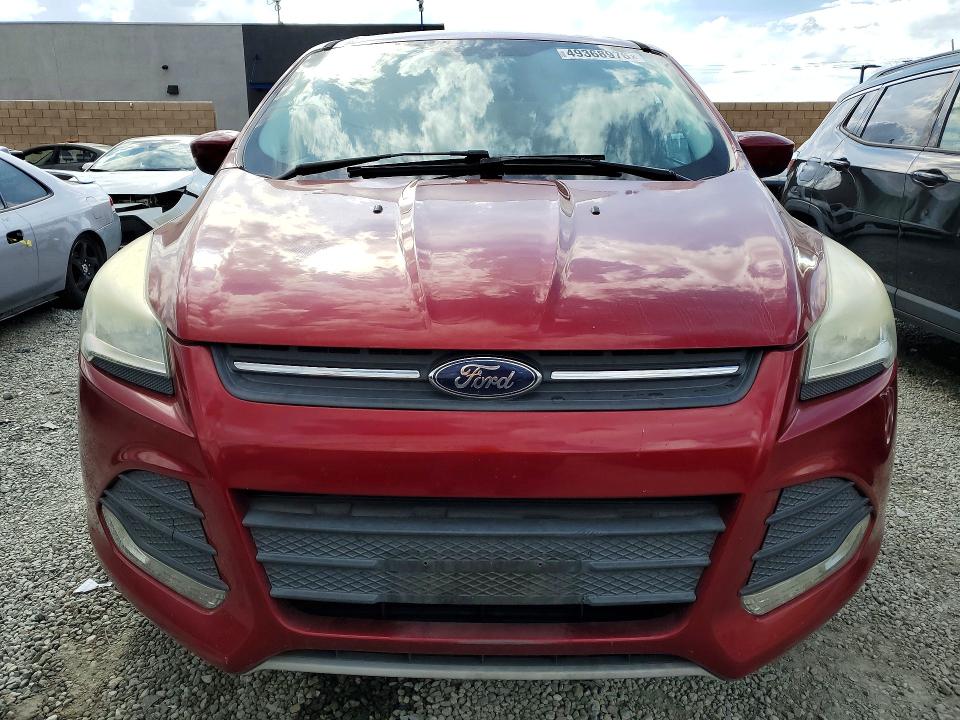 49368976 :رقم المزاد ، 1FMCU0GX6EUB69990 vin ، 2014 Ford Escape مزاد بيع