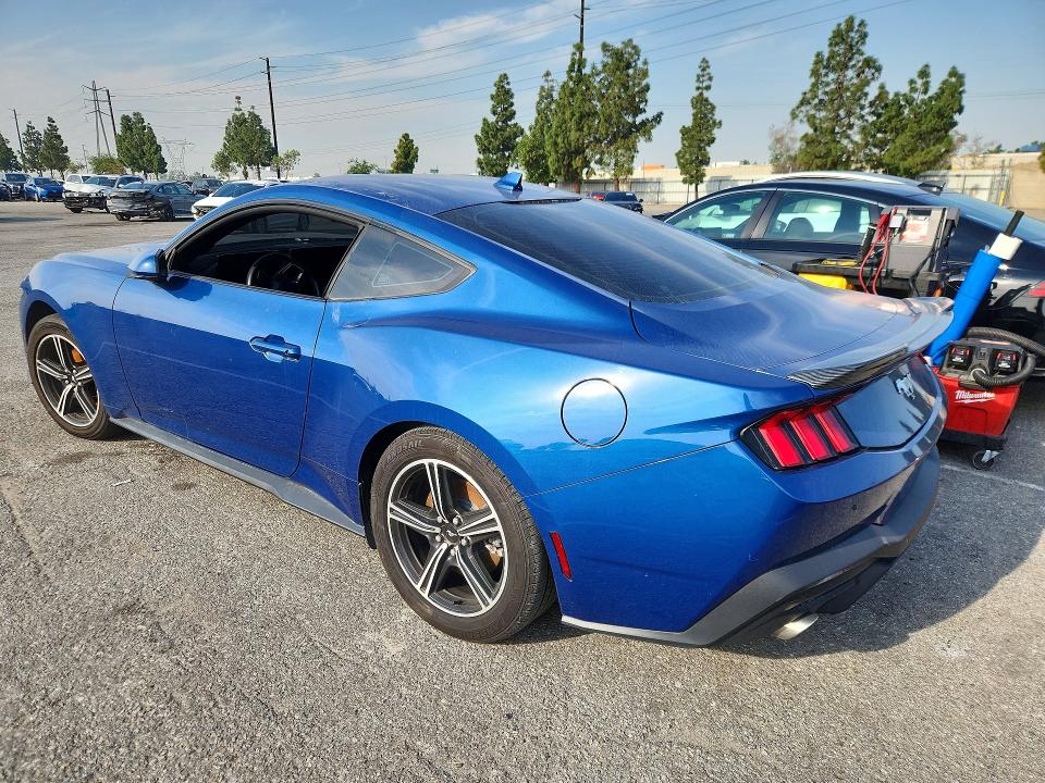 Продажа на аукционе авто 2024 Ford Mustang, vin: 1FA6P8TH4R5107029, номер лота: 48613446