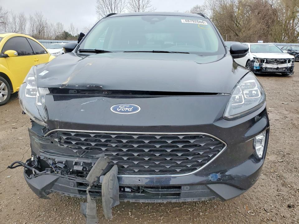 Auction sale of the 2020 Ford Escape, vin: 1FMCU9J90LUA00396, lot number: 48792666