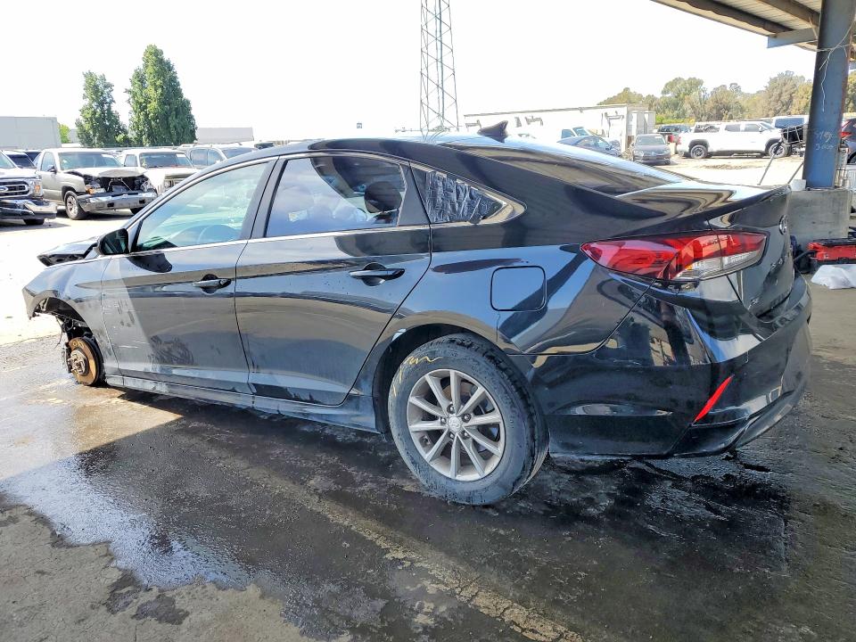 Продаж на аукціоні авто 2019 Hyundai Sonata, vin: 5NPE24AF3KH749620, номер лоту: 49496636