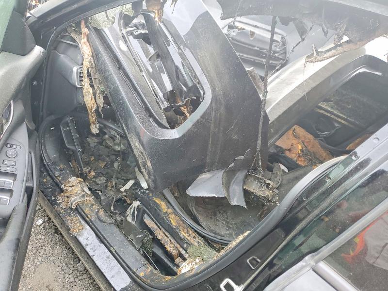 Aukcja sprzedaży 2018 Honda Accord, vin: 1HGCV1F1XJA131115, numer aukcji: 42042046