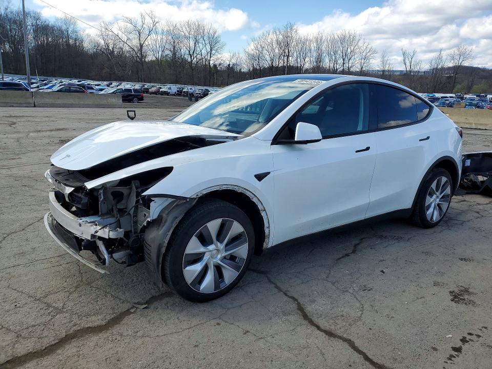 Продаж на аукціоні авто 2023 Tesla Model Y, vin: 7SAYGDEE4PA120311, номер лоту: 48141346