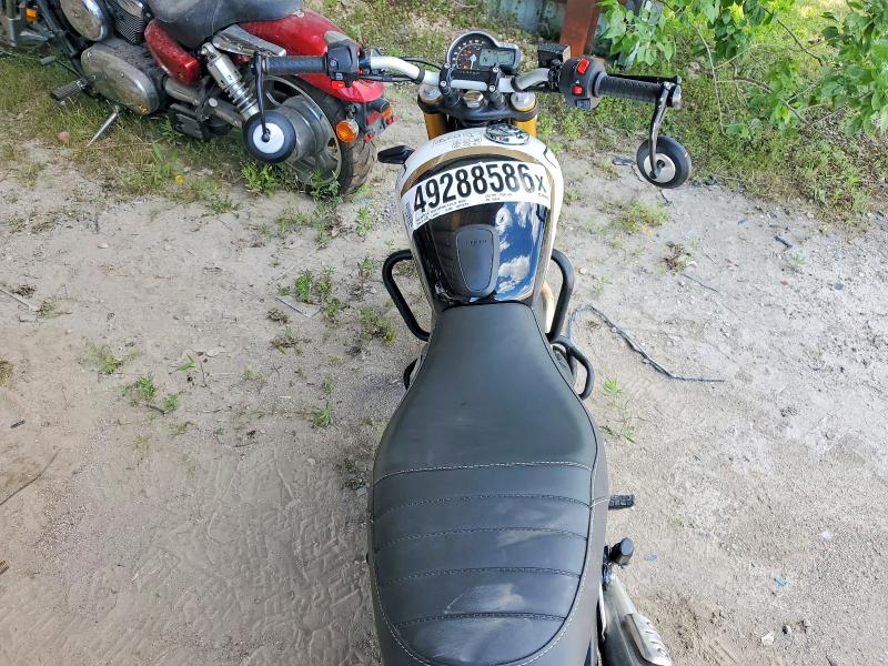49288586 :رقم المزاد ، SMTT127Y7TNA42940 vin ، 2026 Triumph Motorcycle Speed مزاد بيع