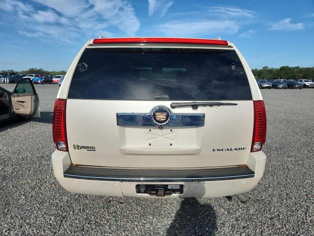 Продажа на аукционе авто 2009 Cadillac Escalade, vin: 1GYFC43509R273605, номер лота: 49826236