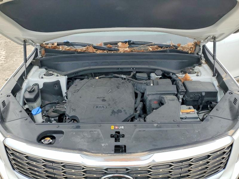 Продажа на аукционе авто 2020 Kia Telluride, vin: 5XYP6DHC1LG044557, номер лота: 51841836