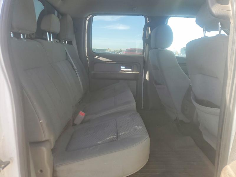 50555346 :رقم المزاد ، 1FTFW1EF1DFC21170 vin ، 2013 Ford F150 مزاد بيع