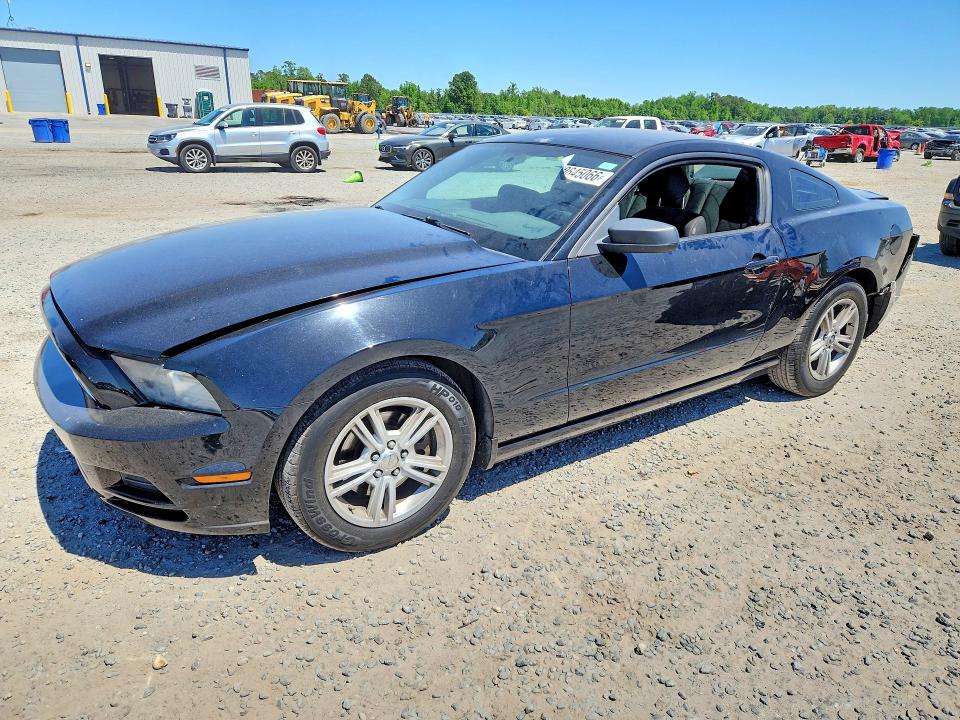 Продаж на аукціоні авто 2014 Ford Mustang, vin: 1ZVBP8AM2E5312896, номер лоту: 50645066