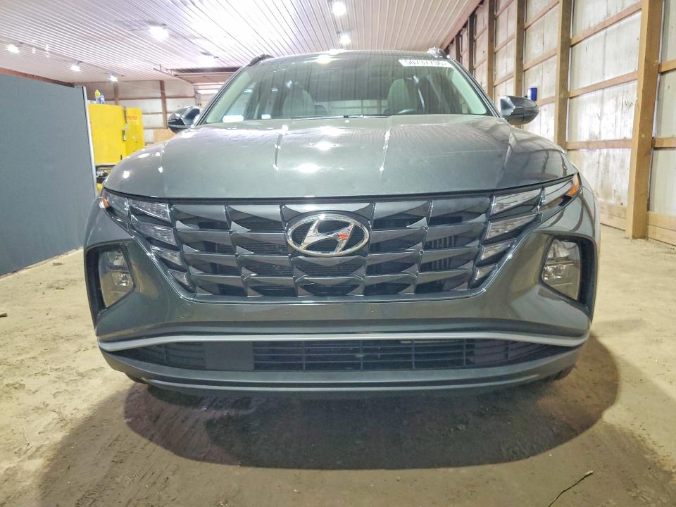 Продаж на аукціоні авто 2023 Hyundai Tucson, vin: KM8JFCA10PU099591, номер лоту: 50737736
