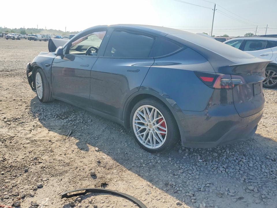 Продажа на аукционе авто 2024 Tesla Model Y, vin: 7SAYGDEF5RA308377, номер лота: 51710576
