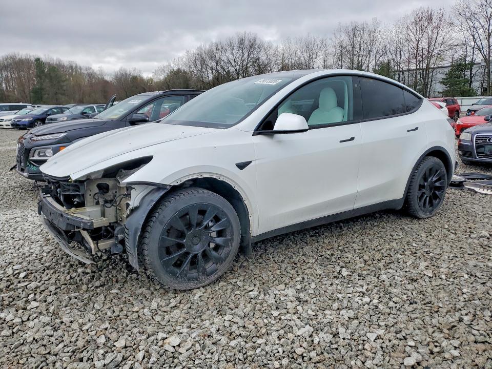 2020 Tesla Model Y მანქანა იყიდება აუქციონზე, vin: 5YJYGDEE3LF040458, აუქციონის ნომერი: 49373026