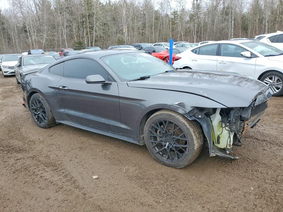 42007616 :رقم المزاد ، 1FA6P8AM8H5318653 vin ، 2017 Ford Mustang مزاد بيع