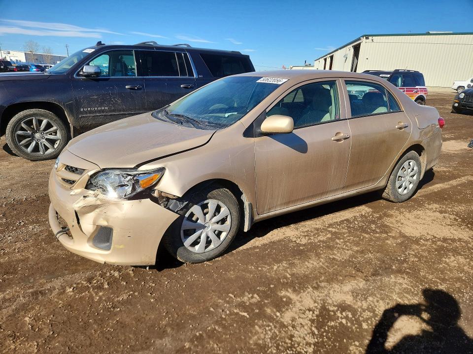 50622056 :رقم المزاد ، 2T1BU4EE9BC740521 vin ، 2011 Toyota Corolla مزاد بيع