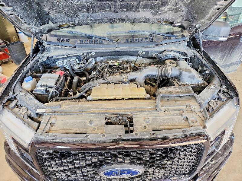 50258516 :رقم المزاد ، 1FTEW1EP5KKE54381 vin ، 2019 Ford F150 مزاد بيع