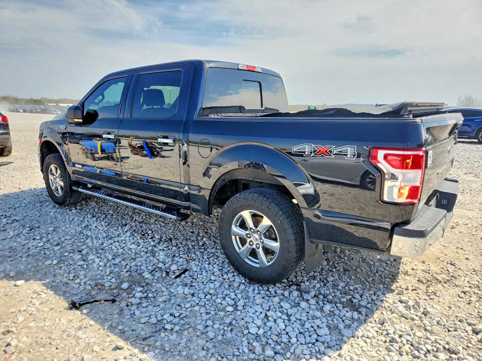 Auction sale of the 2019 Ford F150, vin: 1FTEW1EP8KFC25573, lot number: 49787686