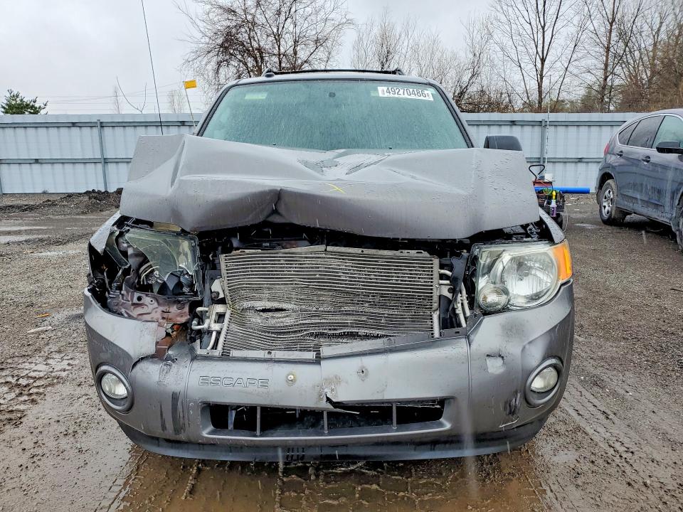 Продаж на аукціоні авто 2010 Ford Escape, vin: 1FMCU0D72AKC81020, номер лоту: 49270486