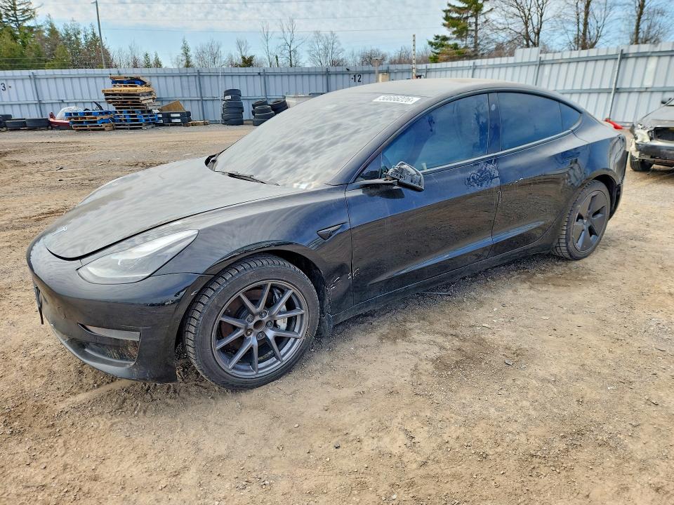 Продаж на аукціоні авто 2022 Tesla Model 3, vin: 5YJ3E1EA2NF197008, номер лоту: 50666226